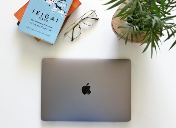 Ikigai Levitation Consulting