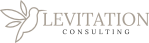 Levitation Consulting